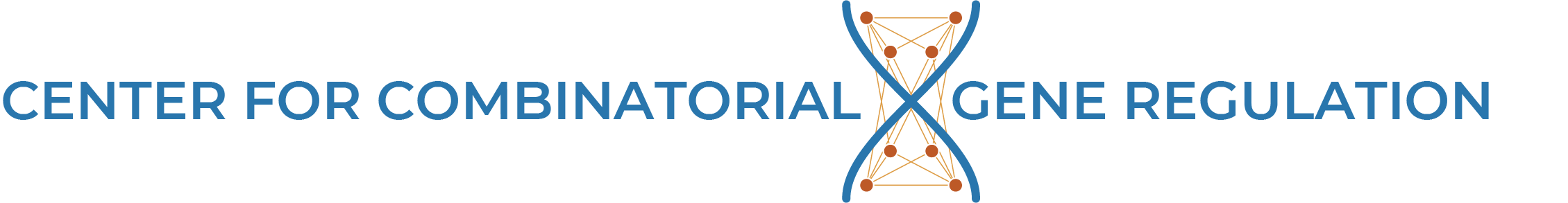 Center for Combinatorial Gene Regulation with DNA