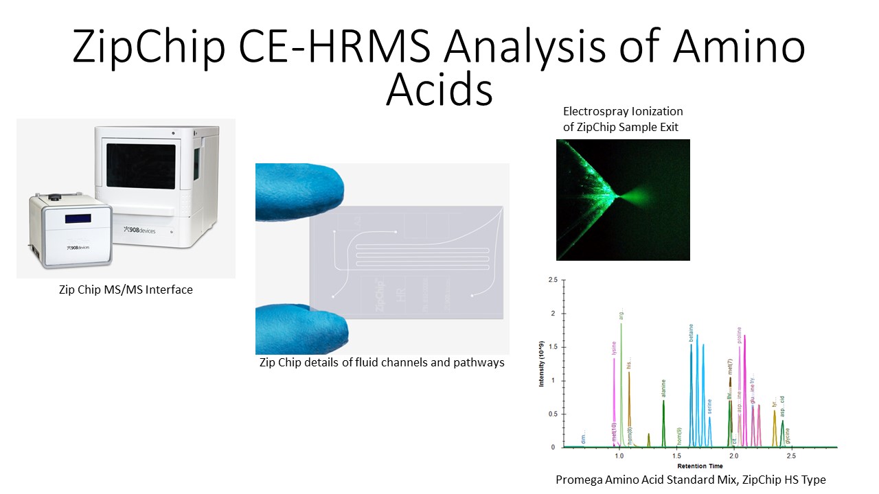 ZipChip CE-HRMS Analysis of Amino Acinds: instrument, details of fluid channels and pathways, electrospray ionization, promega Amino Acid Standard mix
