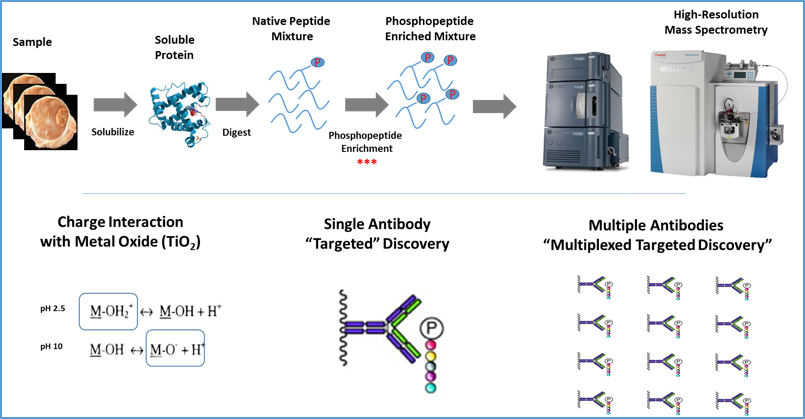 Analytical workflows for quantitative profiling of post-translationally modified proteomes using phosphorylation as an exemplar