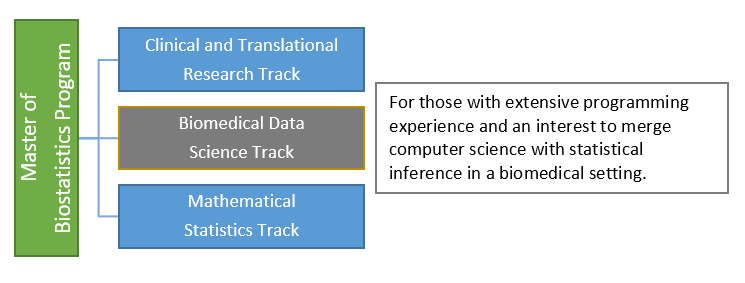 MB -Biomedical Data Science Track Emphasis 