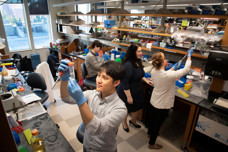 CAGT’s genome scientists and engineers work collaboratively in the lab in biomedical research