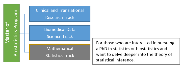 MB - Mathematical Statistics Track Emphasis 