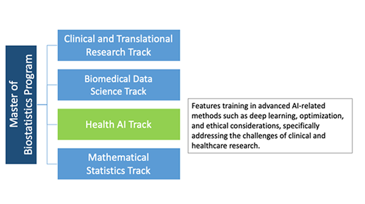 Master of Biostatistics Program Track - Health AI