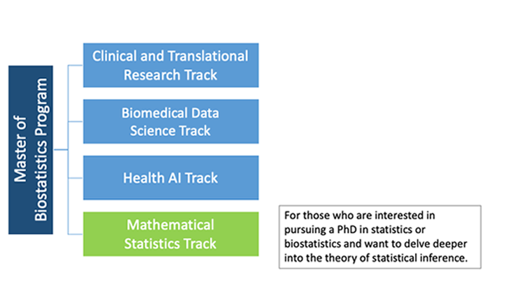 Master of Biostatistics Program Track - Mathematical Statistics