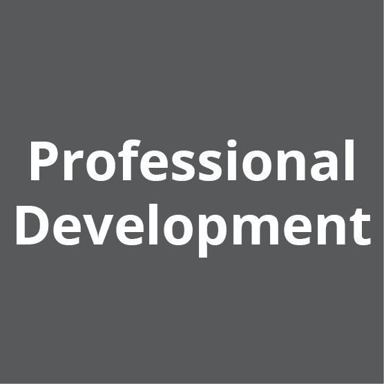 Professional development