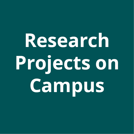 Research Projects on Campus
