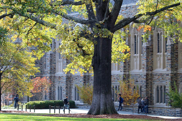 Rubenstein Library from the Abele Quad