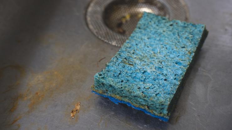 gross sponge in dirty sink