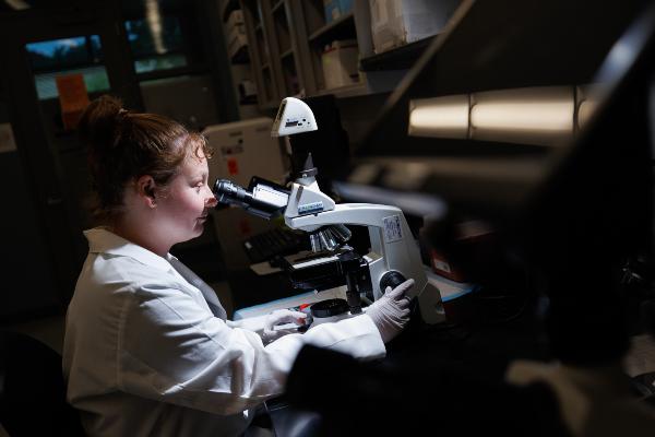 Person looking into microscope