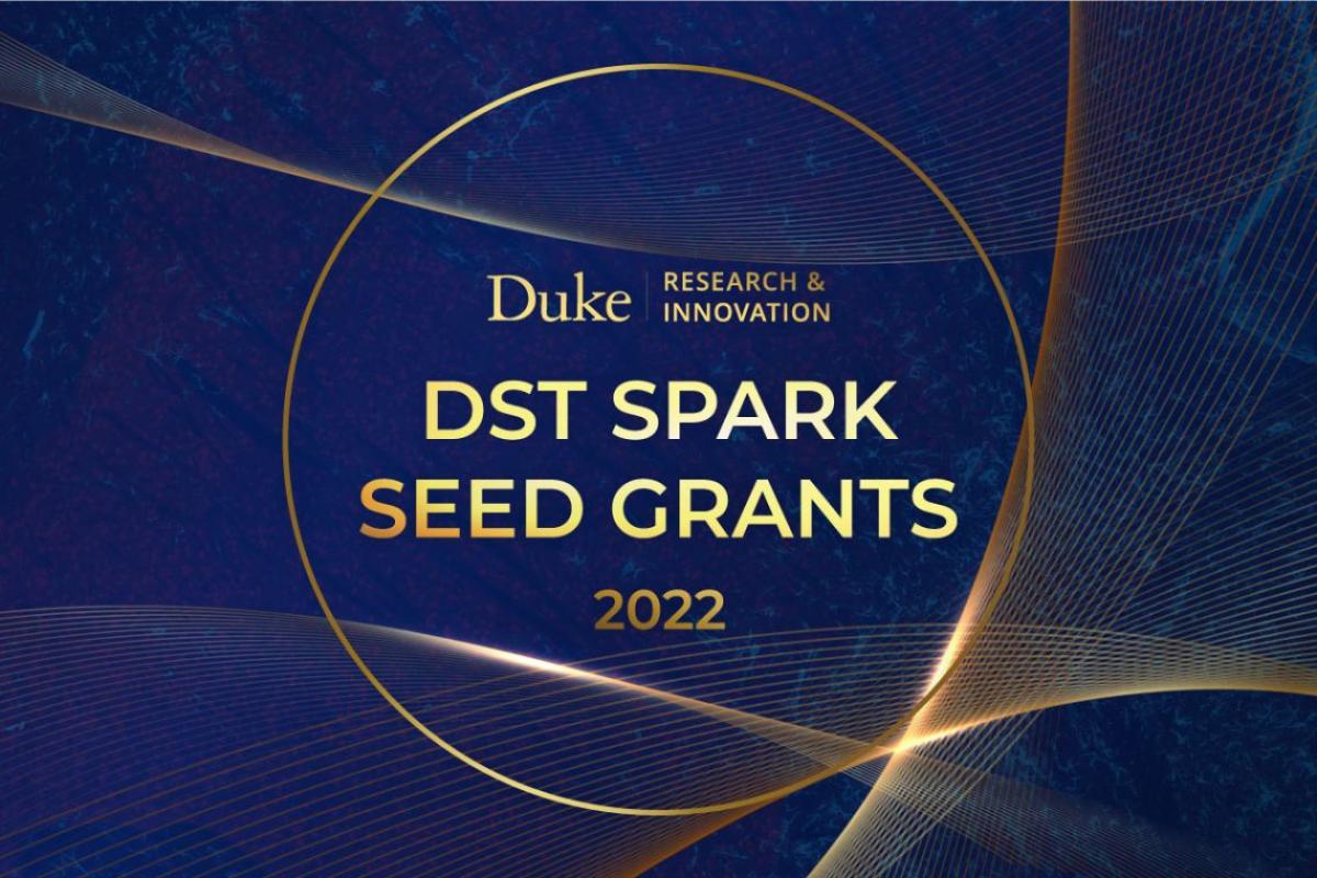 DST Spark Seed Grants 2022
