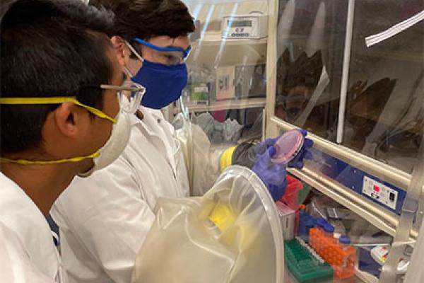 two men working in a lab