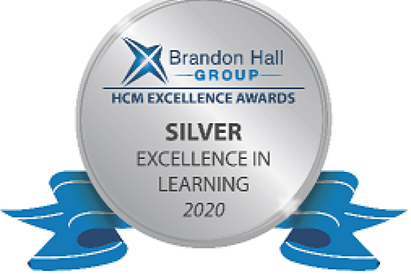 Brandon Hall Group silver excellence in learning award