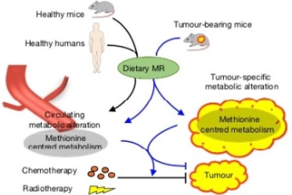 cancer image