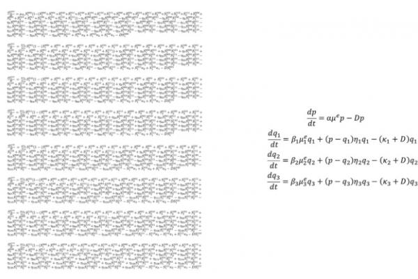 genomic equation diagram