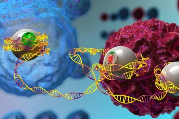 genetic diagram with on and off switches