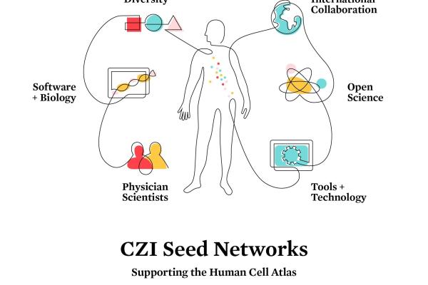 human cell atlas diagram