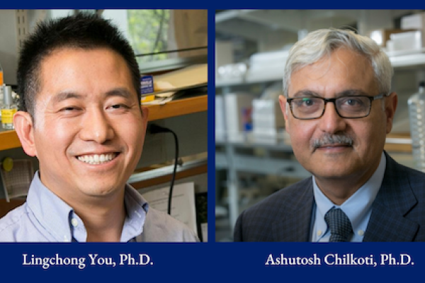 Lingchong You, Ph.D. and  Ashutosh Chilkoti, Ph.D.