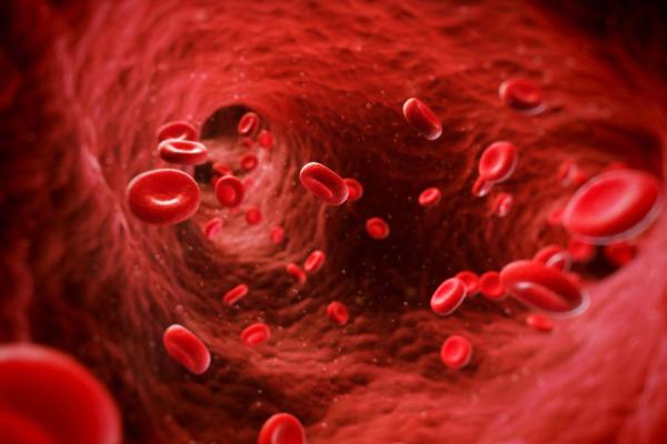 red blood cells - GCB