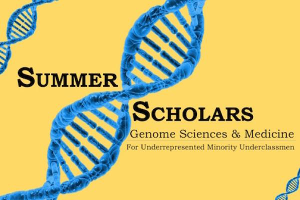 summer scholars logo