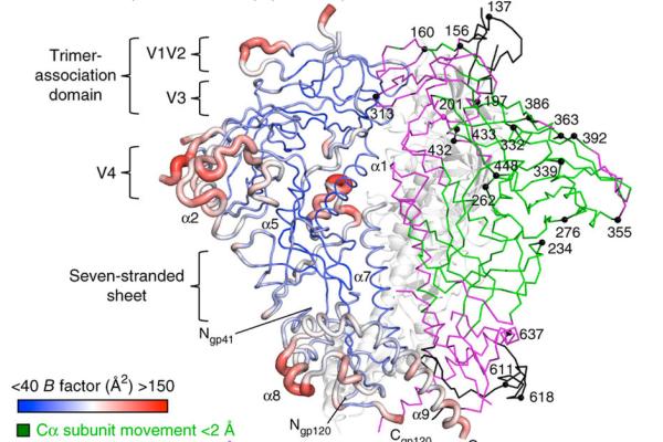 symmetric protein diagram