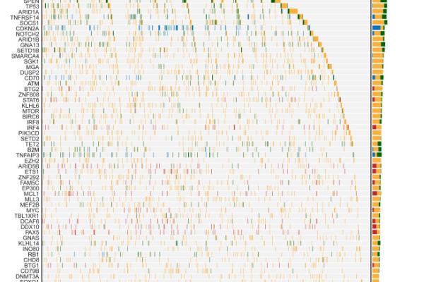 Researchers Identify Genetic Drivers Of Most Common Form Lymphoma Duke Department Biostatistics And Bioinformatics