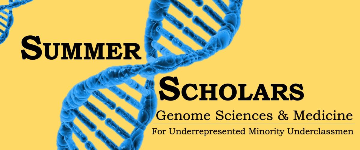 Summer Scholars in Genome Sciences & Medicine for underrepresented minority underclassmen