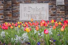 Duke Flowers