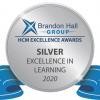Brandon Hall Silver Award