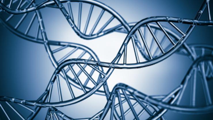 strands of DNA criss crossing