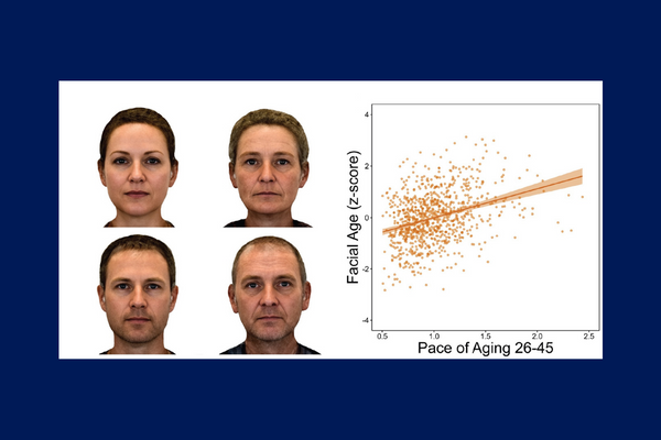  Left side: four faces. Top row has side by side female faces. left picture younger, right picture older. Bottom row is side by side of male faces. left picture younger, right picture older. Right side: a scatter graph of facial aging versus the pace of aging generally showing that the older a person looks, the faster their pace of aging.