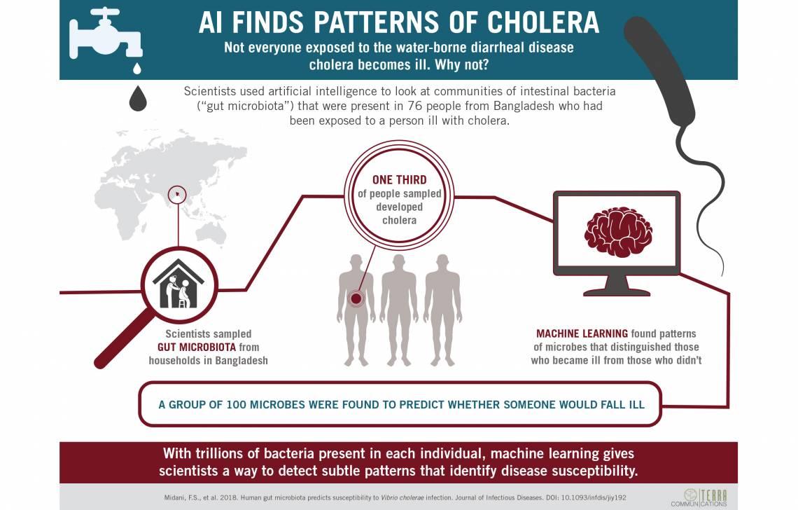 cholera infograph