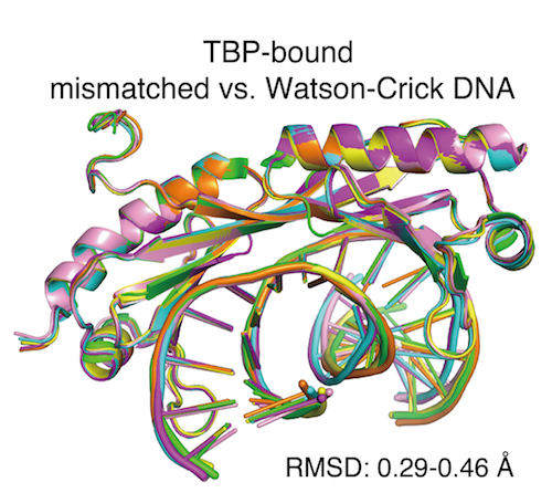 DNA mismatch diagram