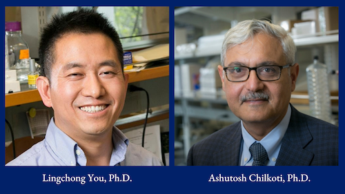 Lingchong You, Ph.D. and  Ashutosh Chilkoti, Ph.D.