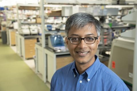 Neil Surana, MD, PhD wins 2019 Hartwell Individual Biomenical Research award
