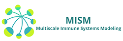 MISM Logo - Multiscale Immune Systems Modeling