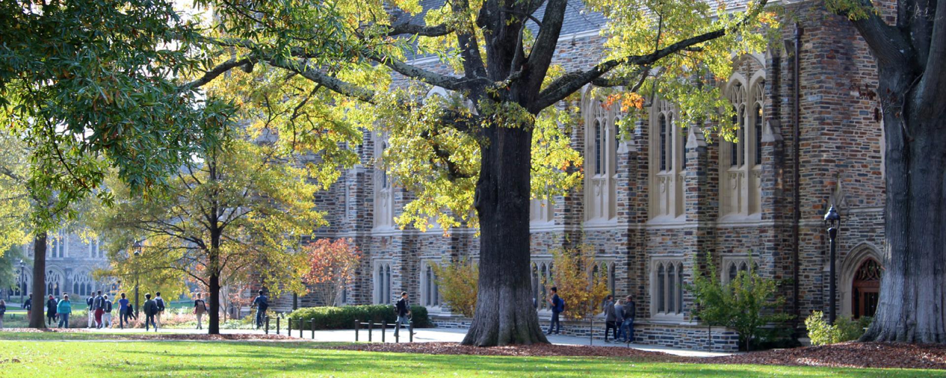 landscape_west.campus.rubenstein