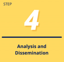 Step 4: Analysis and dissemination 