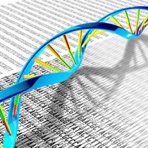 Genomic Analysis and Bioinformatics