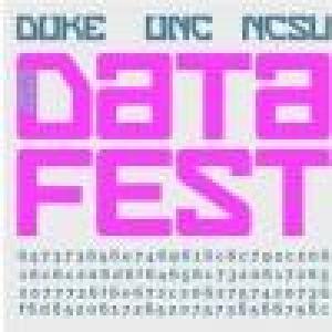 data fest logo
