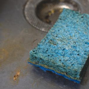 gross sponge in dirty sink