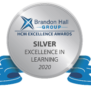 Brandon Hall Group silver excellence in learning award