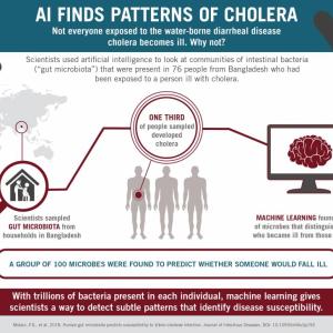 cholera infograph