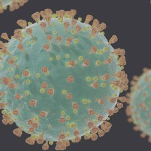 Coronavirus_SARS-CoV-2 - Felipe Esquivel Reed