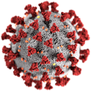 covid virus