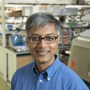 Neil Surana, MD, PhD wins 2019 Hartwell Individual Biomenical Research award