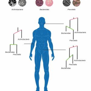 outline of human with microbiome 