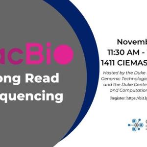 PacBio Long Read Sequencing, Nov. 3 11:30 AM - 1:30 PM, 1411 CIEMAS and Zoom