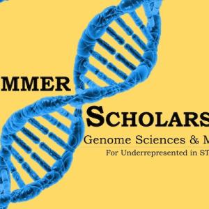 Summer Scholars in Genome Sciences & Medicine for underrepresented in STEM