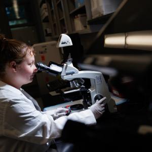 Person looking into microscope